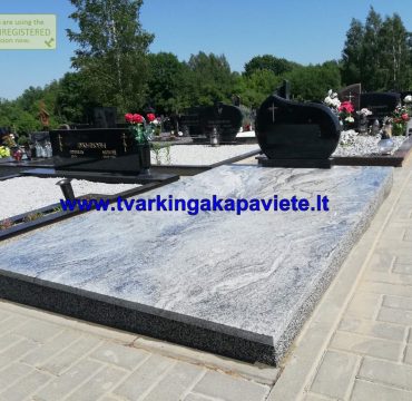 KP290 KP290